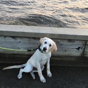 Meet your Posher, Kathy